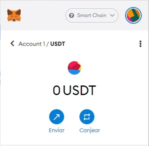 Cómo agregar el Token USDT a tu Billetera Metamask TecnoRed org