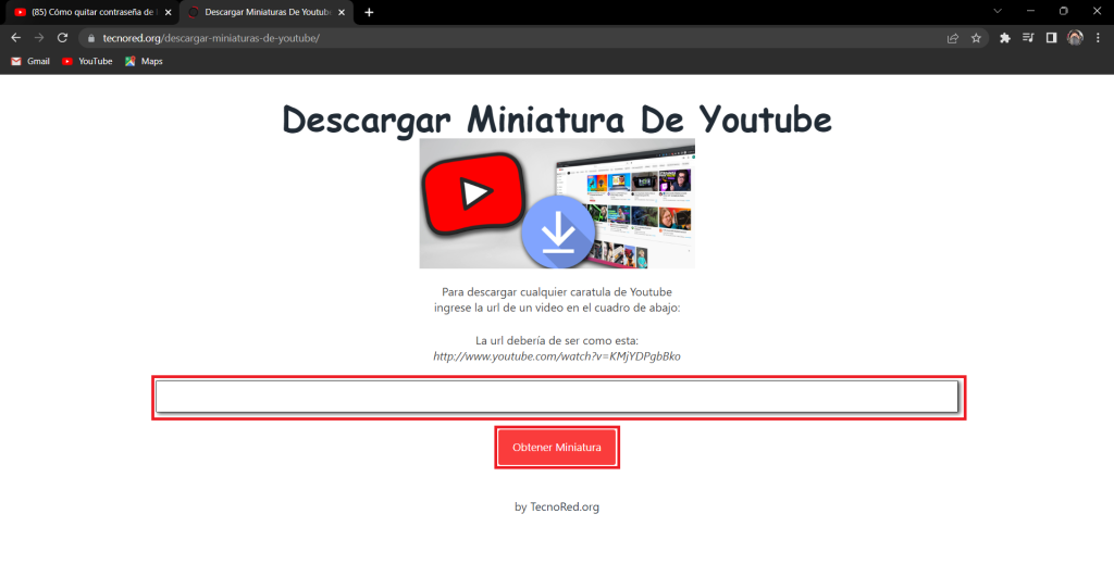 Pegamos la URL del video que queramos descargar la miniatura 