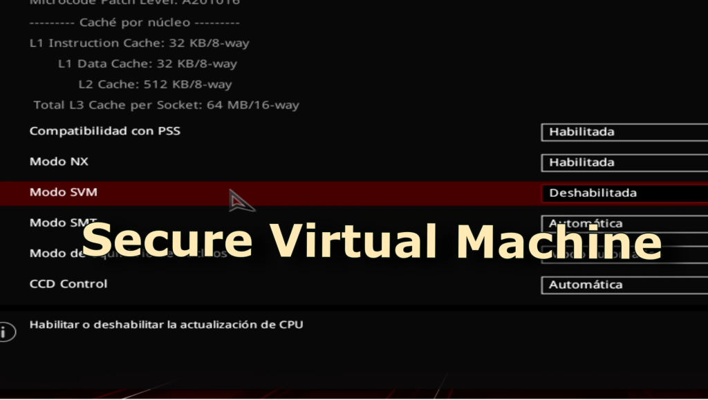 SVM secure virtual machine