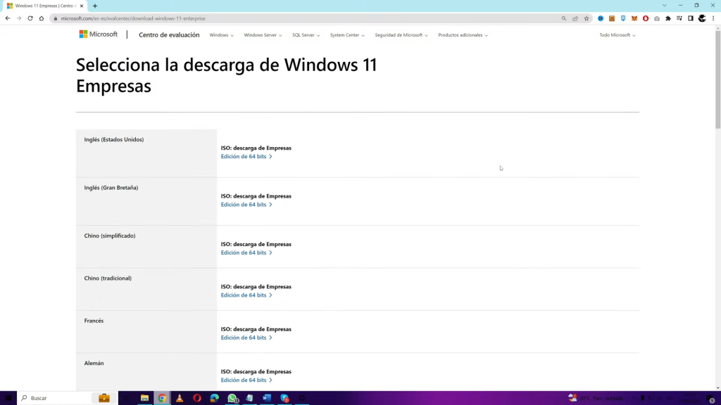 1 recuerda que la versión ligera oficial de Windows 11 es la empresarial