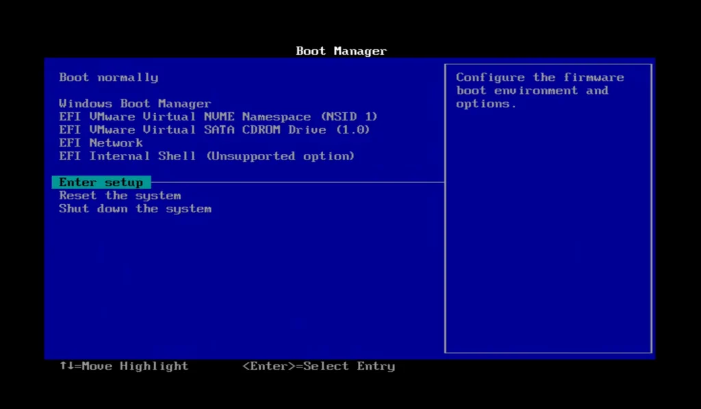 Navegar en la BIOS de la Máquina Virtual