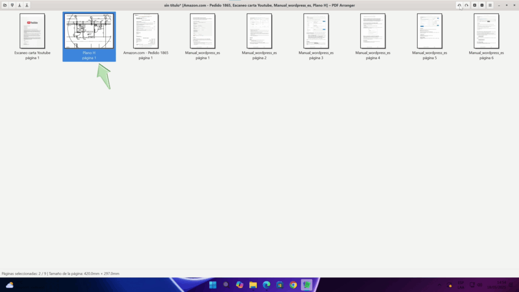 Organiza las páginas (si lo deseas)