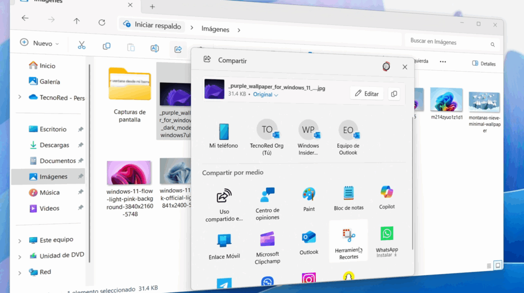 Explorador de Archivos Mejorado