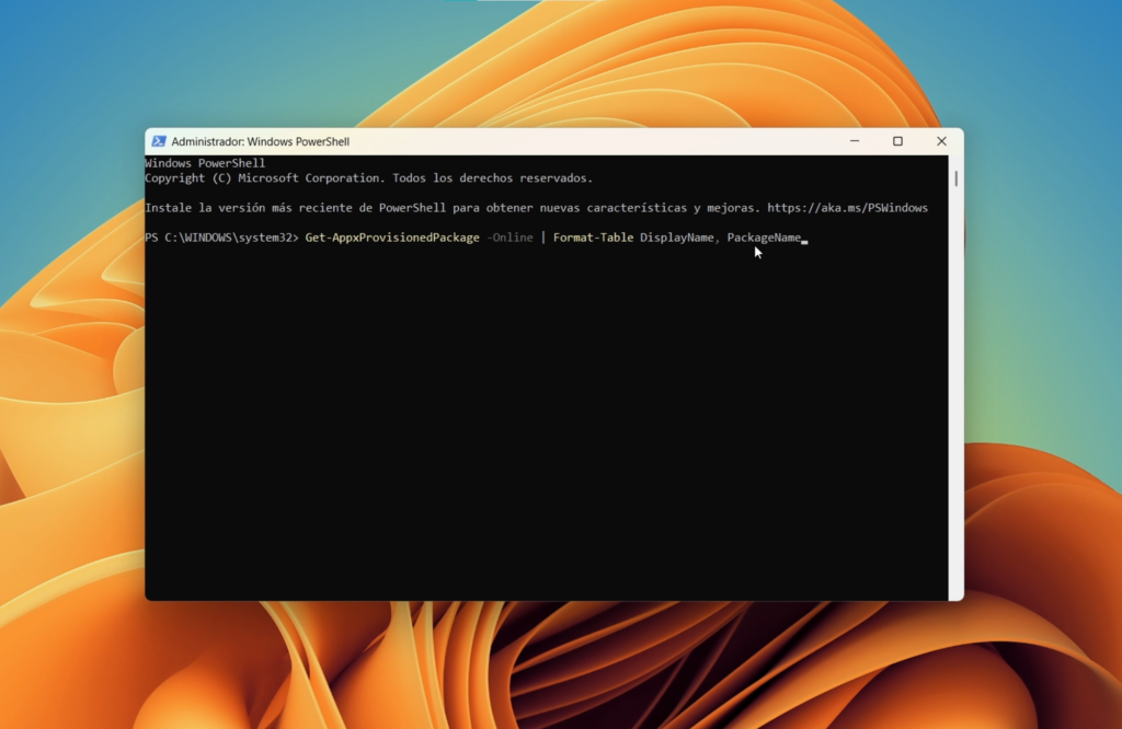 Paso 2: Listar las aplicaciones provisionadas