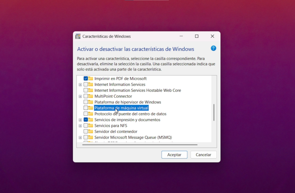 8. Revisa Características de Windows innecesarias (como Hyper-V)