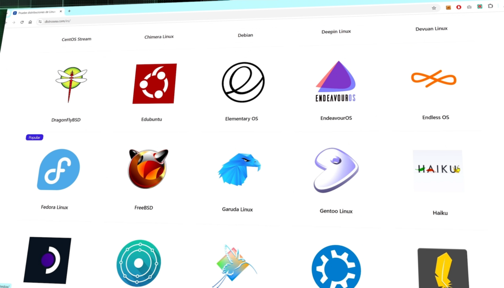 Cómo probar Linux desde el navegador paso a paso