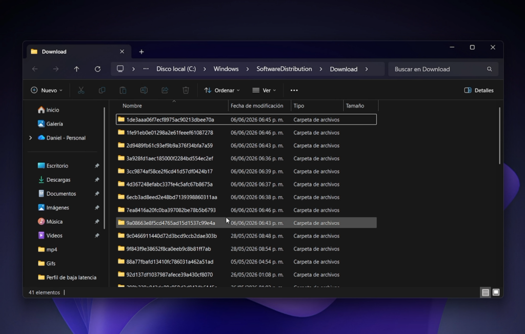 Limpiar la carpeta SoftwareDistribution de Windows Update