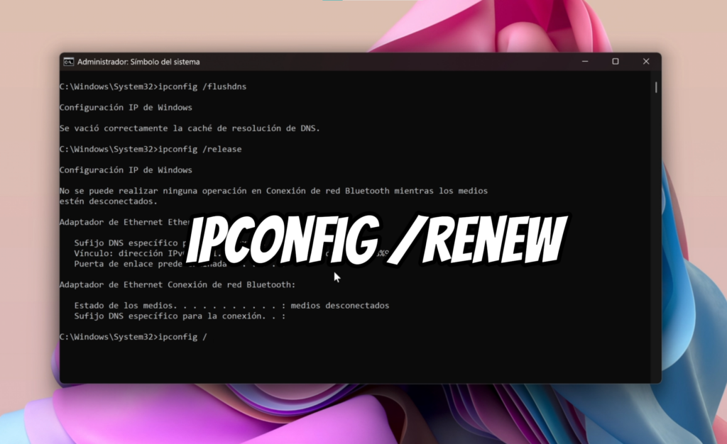 ipconfig /release
