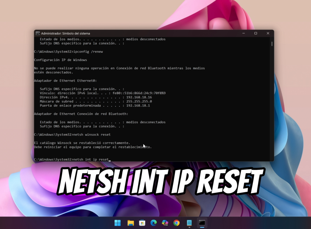 Restablece Winsock y la configuración TCP/IP