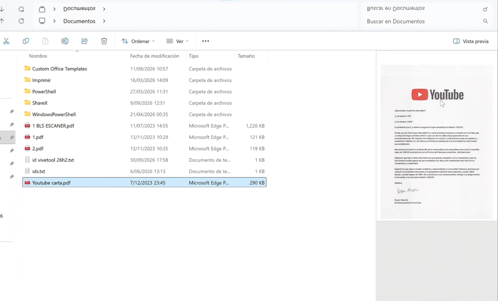 Vista previa de documentos descargados de Internet